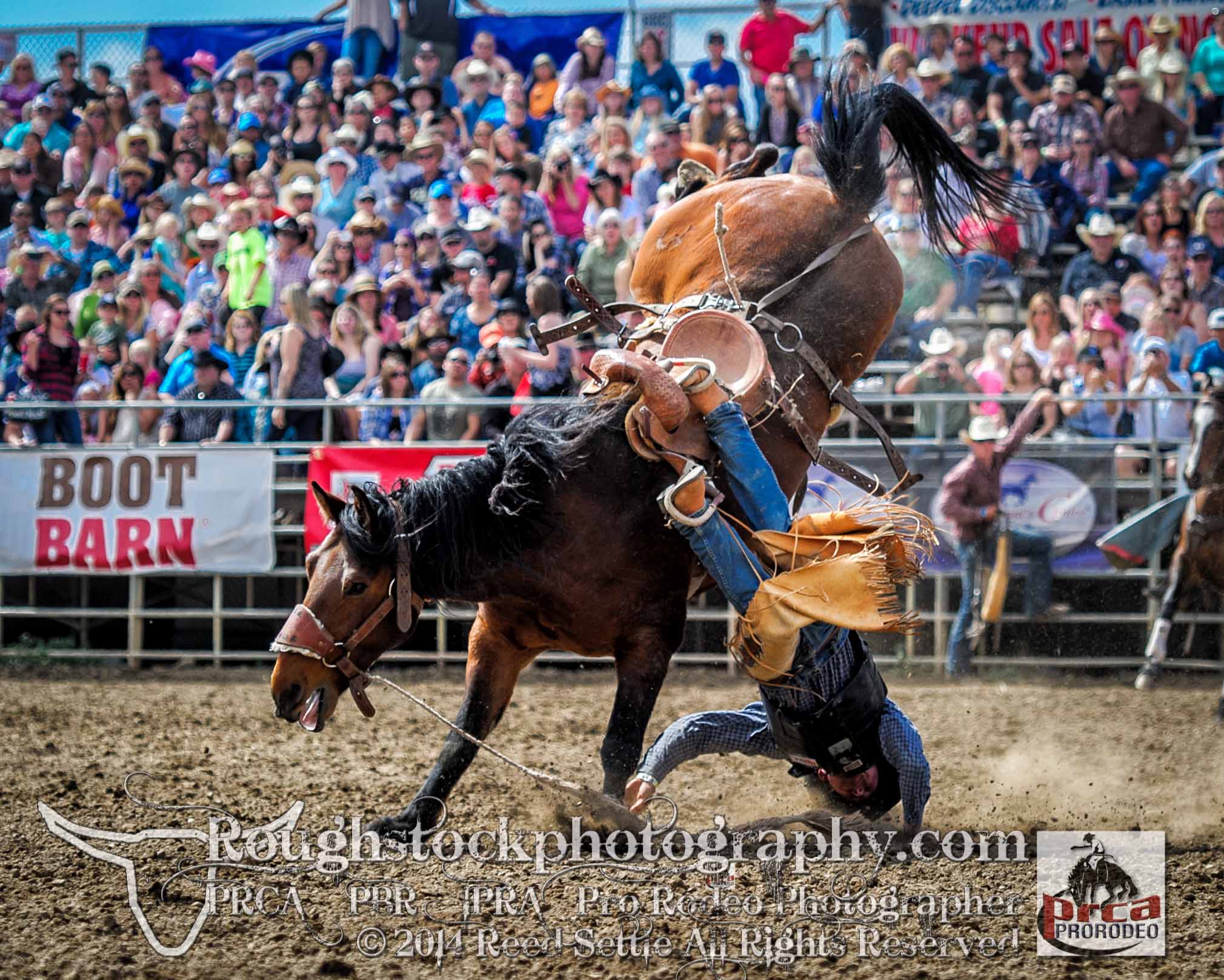 Pro Rodeo Photography by credentialed PRCA PBR IPRA photographer